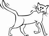 Cat Cartoon Clipart Drawings Drawing Simple Library sketch template