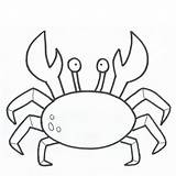 Crab Hermit Drawing Getdrawings sketch template
