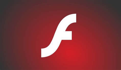 test  adobe flash player  guide webstame