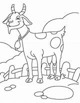 Goat Coloring Baby Pages Glad Cute Kids Getcolorings Getdrawings Printable sketch template