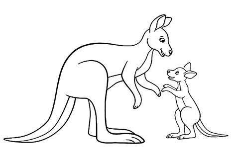 coloring pages  kangaroos