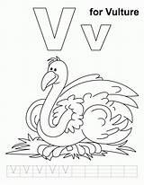 Pintar Vulture sketch template