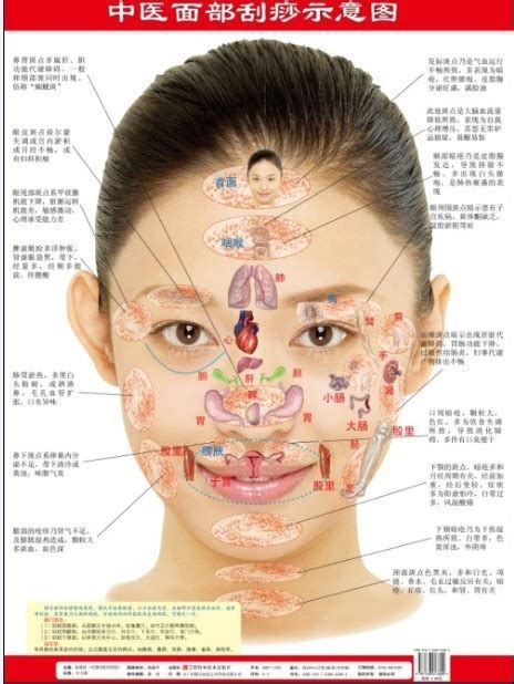 facial scraping scraping diagrams wall charts tcm in massage