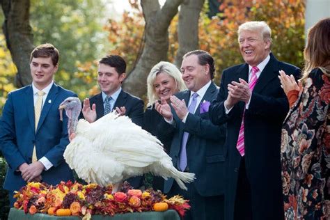 ‘hi drumstick president trump pardons a turkey and likes it the