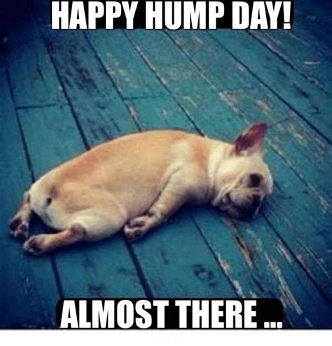 😴😴😴 happy wednesday hump day meme friends funny