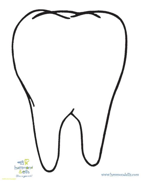 teeth coloring pages   lapes org   coloring pages