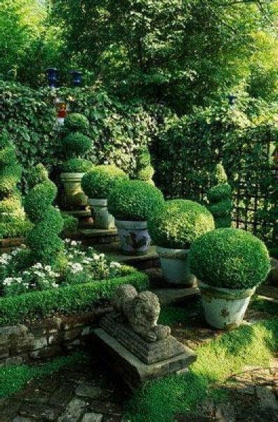 Pin By Stacy Mishina On Beautiful Outdoors Boxwood Landscaping