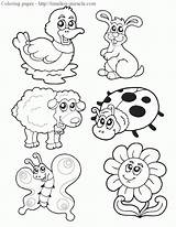 Coloring Animals Spring Pages Miracle Timeless sketch template