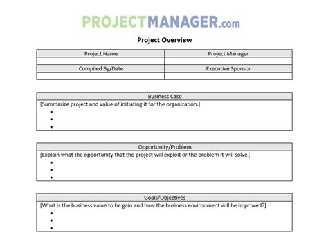project overview  template