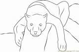 Panther Coloring Pages Color Coloringpages101 Printable Online Kids sketch template