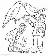 Winter Coloring Pages Birds Feeding Printable Children Seasons sketch template