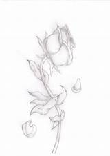 Dying Wilting Petals sketch template