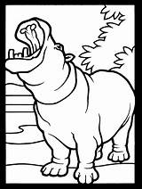 Hippopotame Hippo Nilpferd Ausmalbild Coloringmates Colorear Coloriages sketch template
