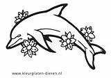 Dieren Dolfijnen Dolfijn Dierenkleurplaten sketch template