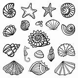 Shells Conchiglie Seashells Muscheln Seashell Malen Seascape Dinge Einfache Fische Zeichnungen Colorpagesformom Tante Graphicriver Afkomstig sketch template