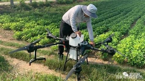 drones spray pesticides  solve  problemglobaldroneuavcom