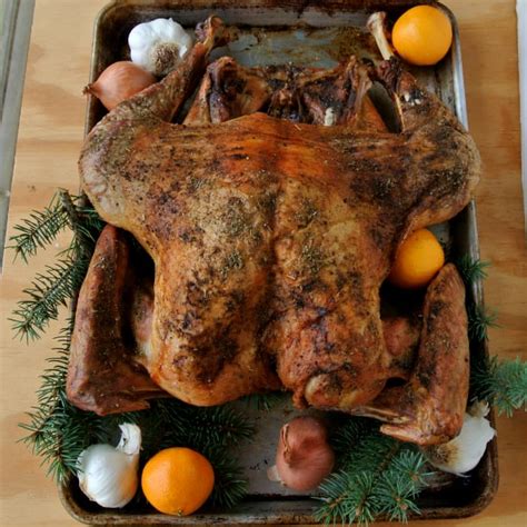 spatchcock turkey recipe alton brown