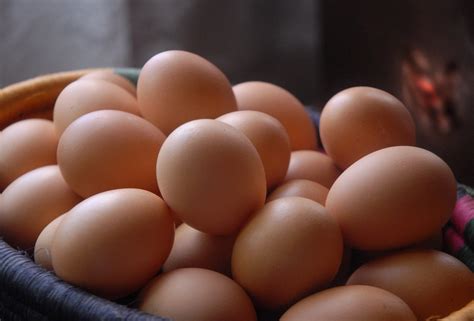 conozca las diferencias entre los huevos convencionales  de pastoreo