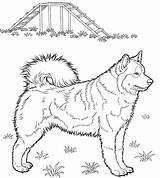 Husky Coloring Pages Printable Dog Huskies Alaskan Kids Print Da Colouring Color Puppy Supercoloring Dogs Cute Siberian Adorable Colorare Standing sketch template