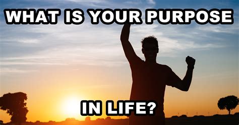 purpose  life quiz quizonycom