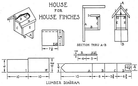 finch bird house plans dimensions  finch house plans