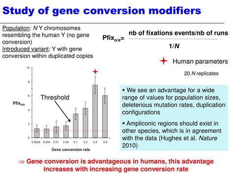 ppt the evolution of sex chromosomes from humans to non model