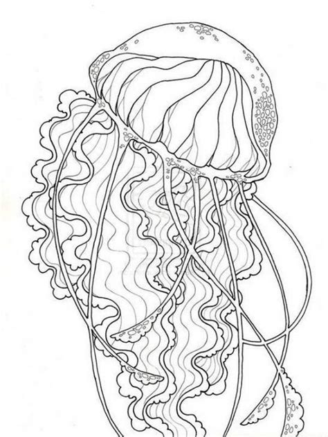 jellyfish coloring pages  adults fish coloring page mandala