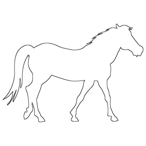 stallion coloring page horse outline coloring buddy