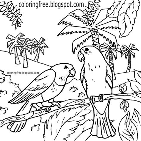 coloring pages printable pictures  color kids drawing ideas printable australian