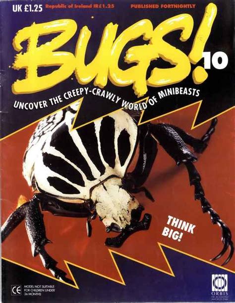 bugs issue  page  bugs bugs minibeasts