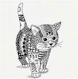 Coloring Pages Cat Mandala Zentangle Adult Cats Kwok Ben Kitten Animals Adults Colouring Animal Printable Coloriage Books Chat Van Mandalas sketch template