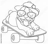 Bulldog Skateboard Kleurplaten Schattige Cucciolo Yo sketch template