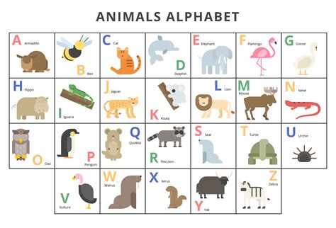 wild animals alphabet set  vector art  vecteezy