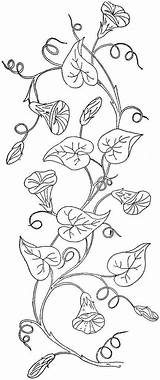 Morning Vines Flower Ingalls 1888 Glories Fiz Retalhos às sketch template
