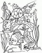 Coloring Fish Pages Tropical Colouring Printable Tank Aquarium Sheets Adult Detailed Drawing Adults Kids Realistic Kid Clipart Sports Clipartmag Library sketch template