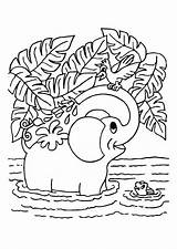 Elefante Olifant Dieren Olifanten Animals Baignade Elefant Colorare Dolfijn Colorier Descargar Hugolescargot Schattige Getcolorings Printen Selva Moeilijke Moeilijk Safari Schoolplaten sketch template
