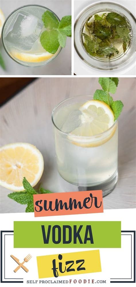 beat the heat by enjoying a refreshing summer vodka fizz