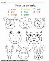 Worksheet Animals Coloring Printable Color Animal Colors Head Worksheets Kids Preschool Them Sheet Themselves Express Below Fun Click Things sketch template