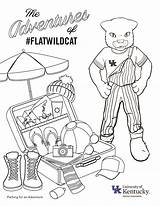 Wildcats Uky Kentucky Wildcat Shockers Indy sketch template