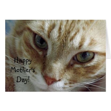 happy mothers day  cat cards zazzle