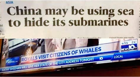 hilarious news bloopers that are sure to leave you rofl ing trending