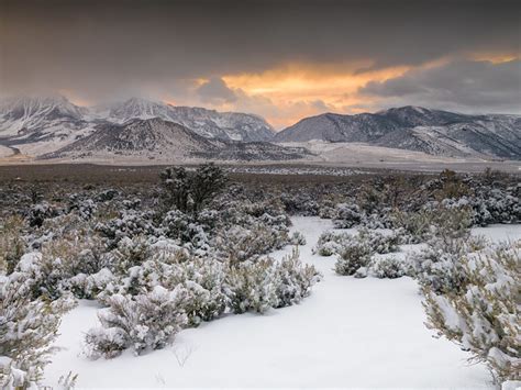 desert snow flickr photo sharing