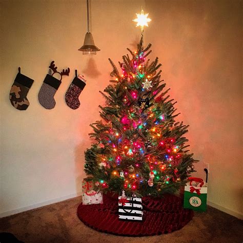 home made stockings real tree and lights first christmas tree holiday decor christmas tree