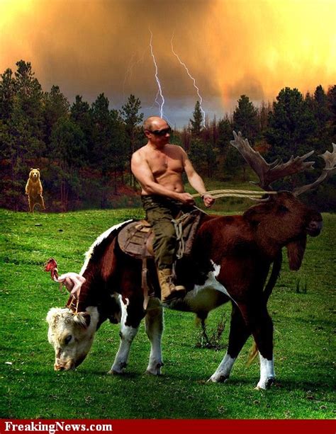 Vladimir Putin Riding Things Katrina Fernandez