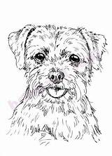 Terrier Digi Getresponse Stamo Inklined sketch template