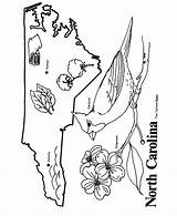 Carolina Coloring North Pages State Map Nc Unc Symbols Outline Printables Printable Kids Print Color Sheets Shape Usa Clipart States sketch template