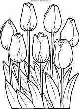 Colorear Bordar Tulips Plantillas Colouring Tulipanes Pagine sketch template