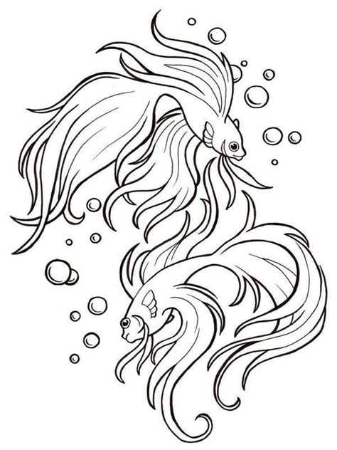 betta fish coloring pages   print betta fish coloring pages