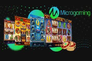 buy microgaming slots replica winpower