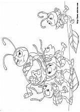 Bichos Inseto Insecto Insekt Pintar Bugs Ants Momjunction sketch template